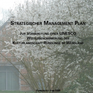 strategischer management plan